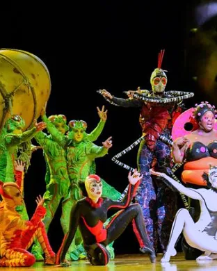 Cirque Du Soleil - Ovo Providence